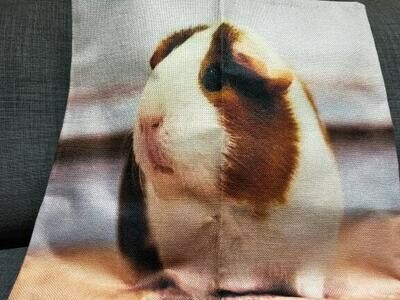 Guinea Pig Cushion  Cover 10