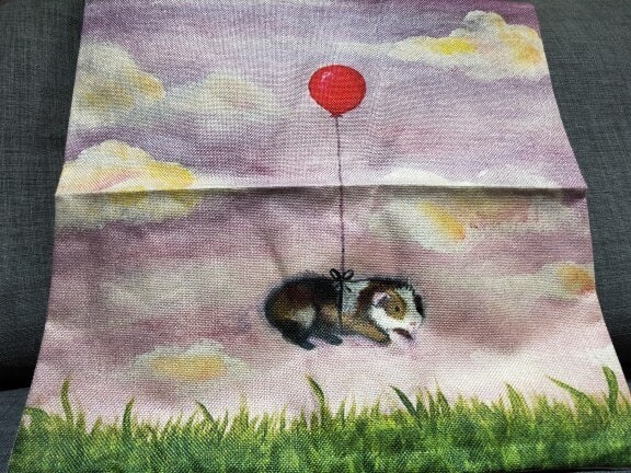 Guinea Pig Cushion  Cover 12