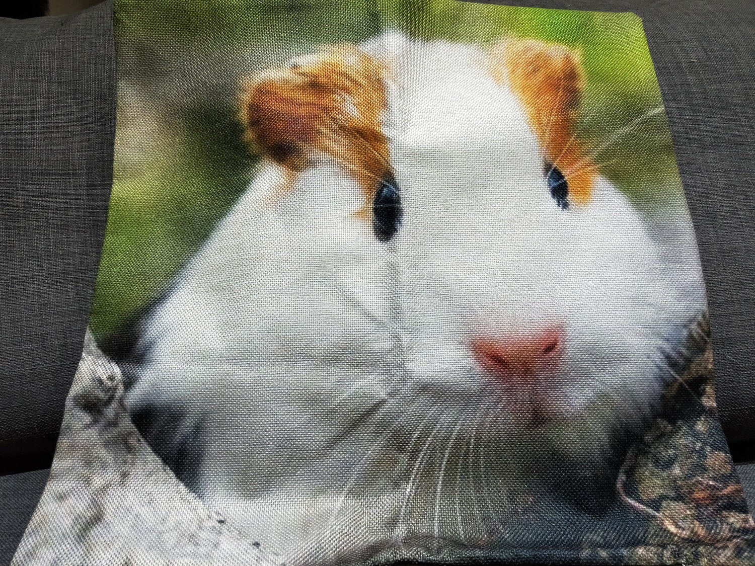 Guinea Pig Cushion  Cover 13