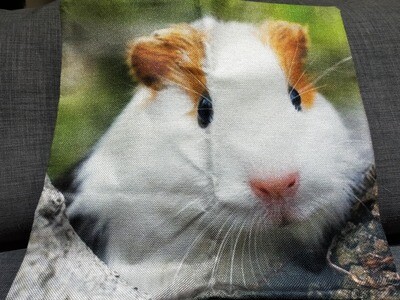 Guinea Pig Cushion  Cover 13