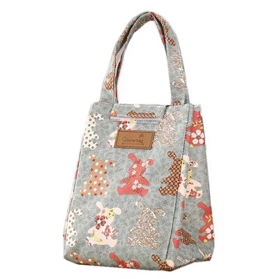 Insulated Lunch bag