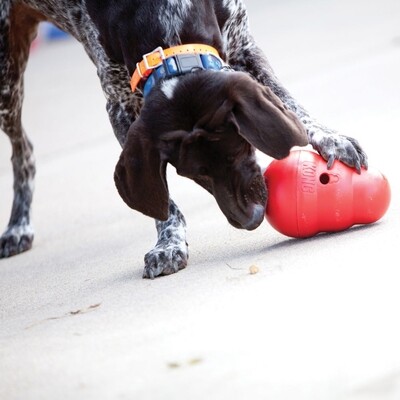 KONG Wobbler Small