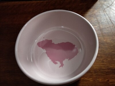 Trixie Ceramic Bowl  with motif Guinea Pig pink