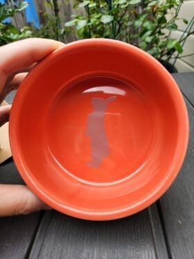 Trixie Ceramic Bowl Rabbits - Red