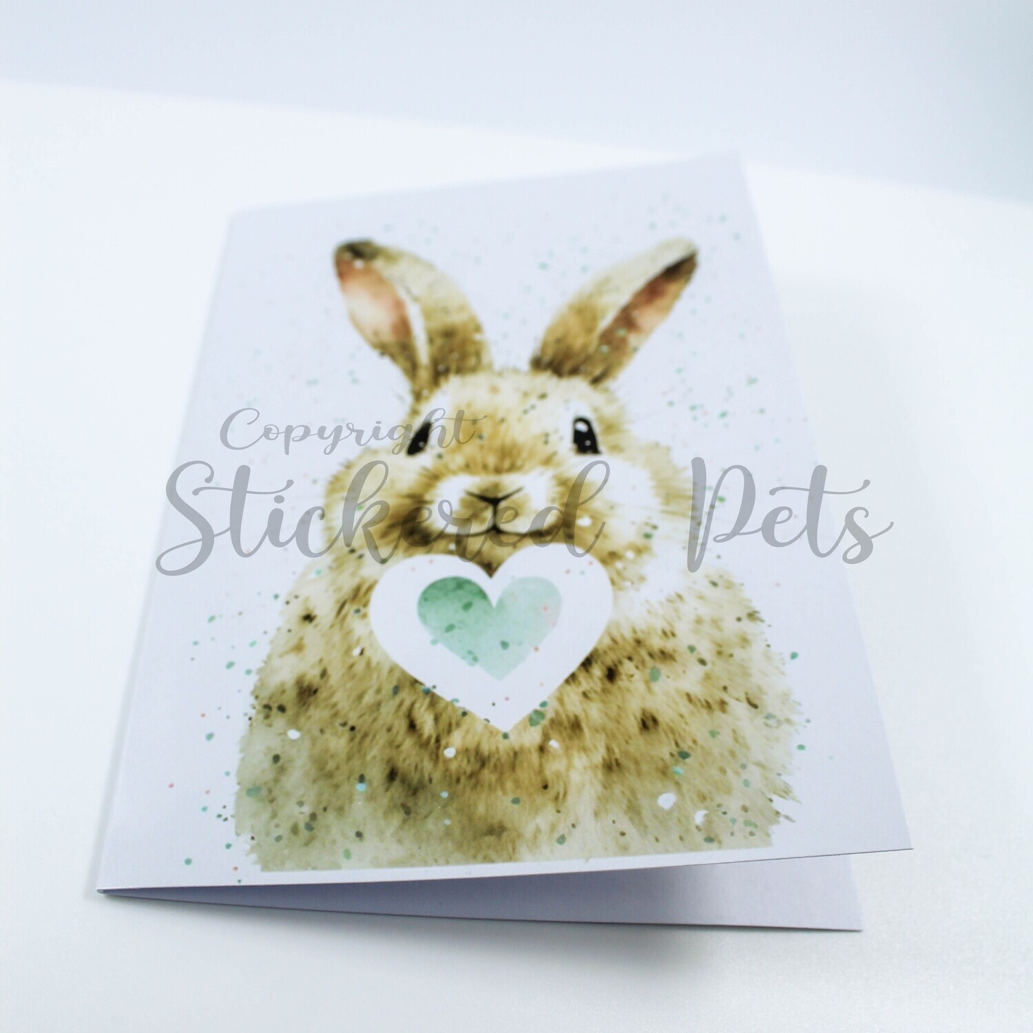 Bunny 1