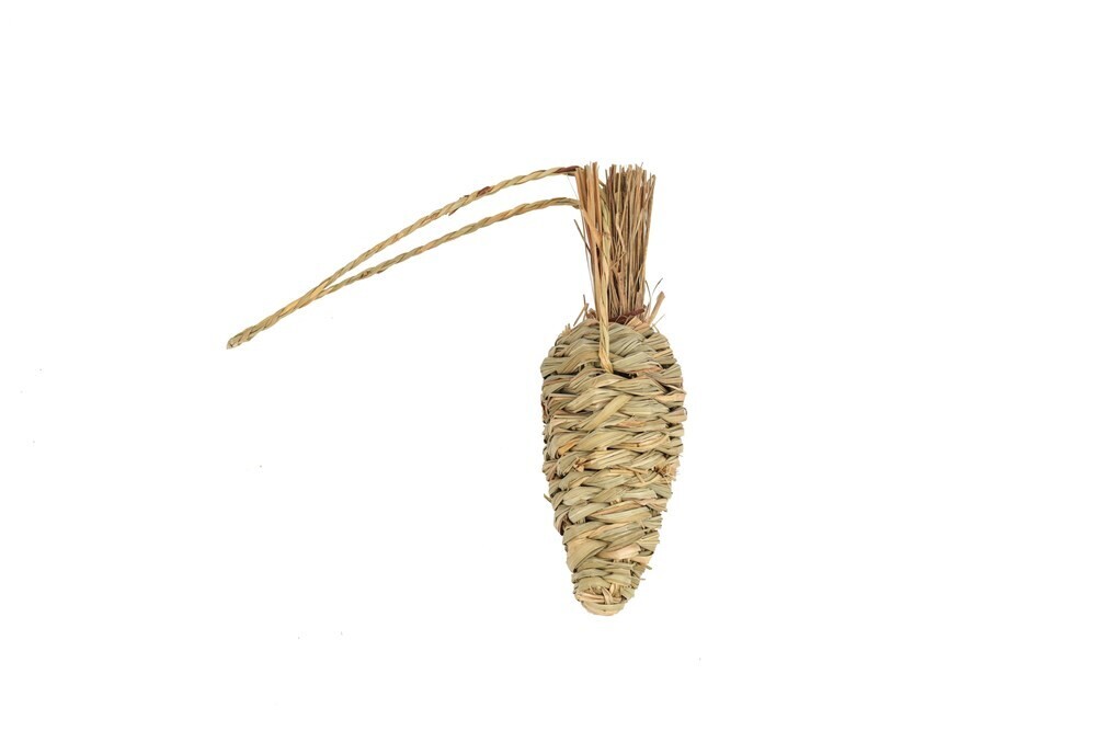 Nature Island - Seagrass Carrot Chew Toy
