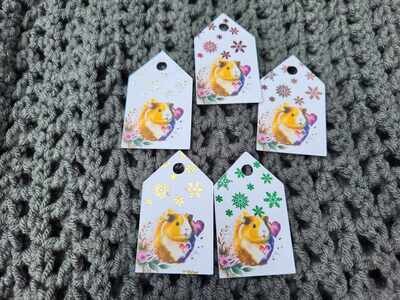 Stickered Pets - Guinea Pigs Gift tags - pack of 5