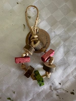 Mini wreath with apple slices and kiwi and raspberry balsa bricks