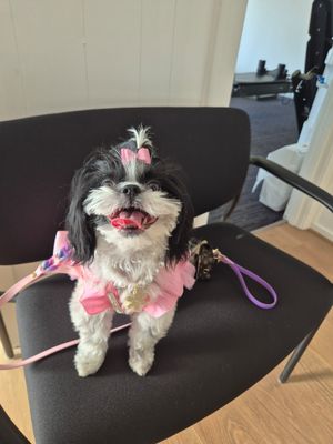 Clara's outfits destash