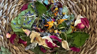 Angus & Co - Flower Power - Not to WA or TAS Angus & Co - Flower Power - Not to WA or TAS