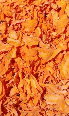 Dry Carrot