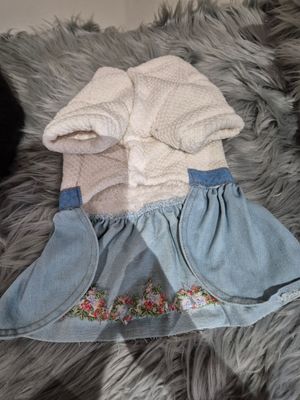 Blue and white dress