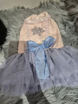 Dress with blue tuttu