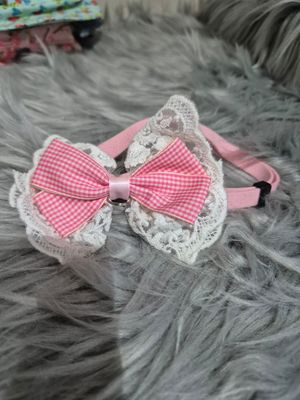 Pink bow on collar