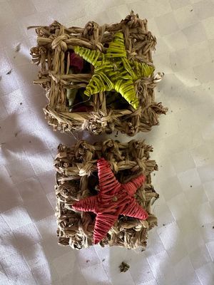 Mini seagrass cubes x2 pack Mini seagrass cubes x2 pack