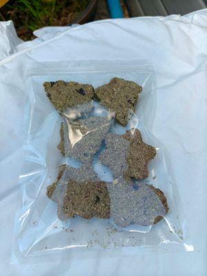 Xmas cookies Xmas cookies