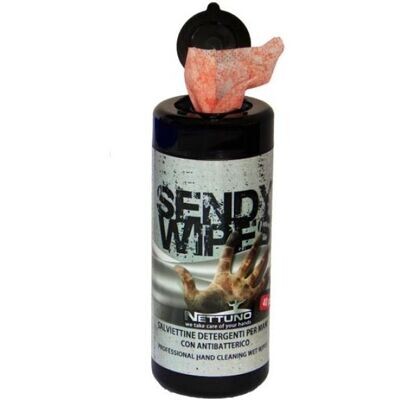 NETTUNO SENDY WIPES SALVIETTA TNT BARATTO 40 PZ PER OGNI TIPO DI SPORCO