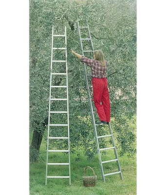 ​SCALA ALLUMINIO CONICA AGRIL