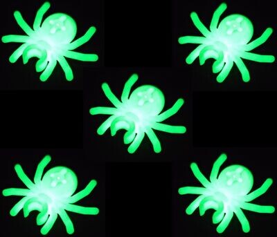 Spinne