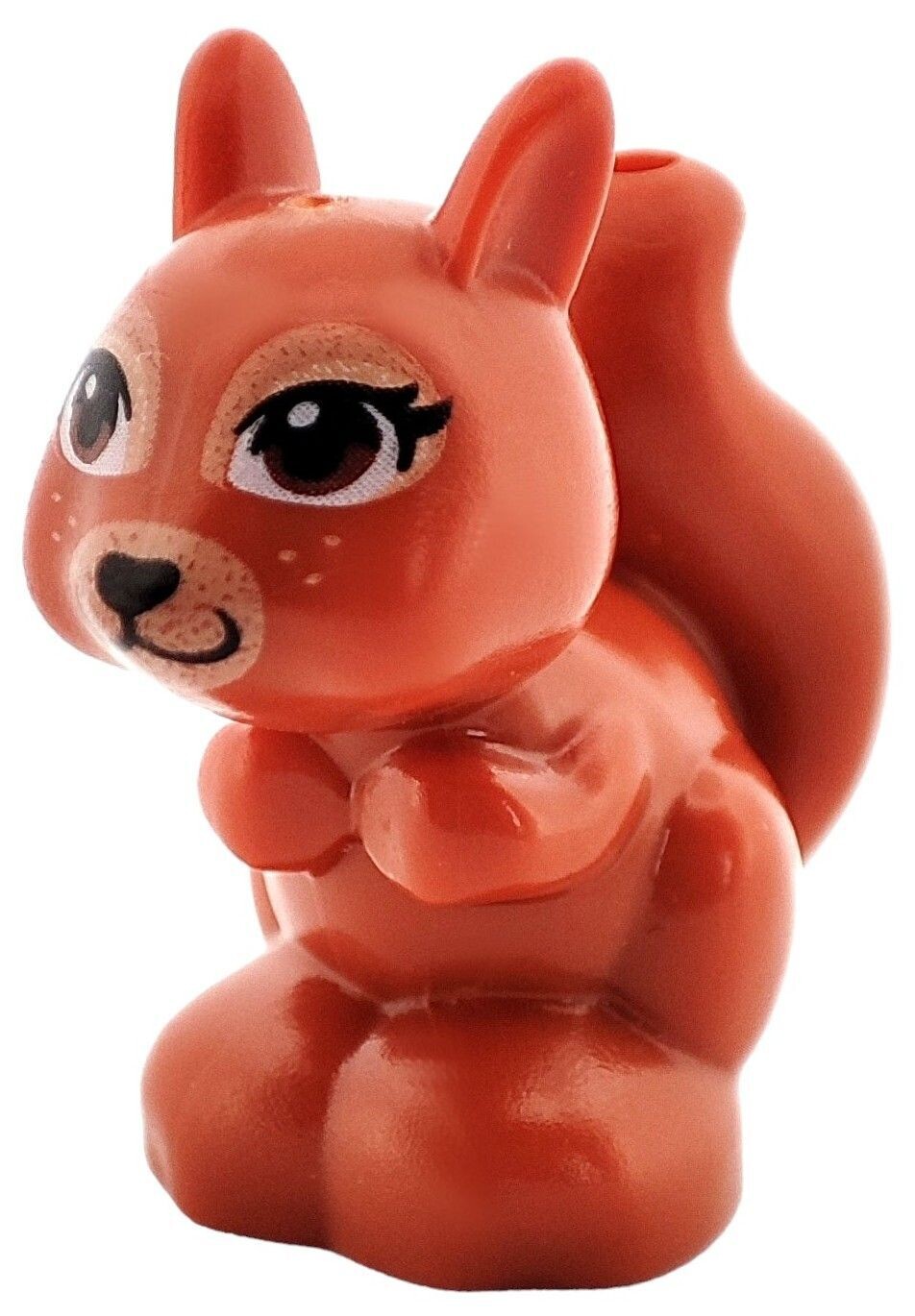 Eichhörnchen in Dunkelorange/Dark Orange