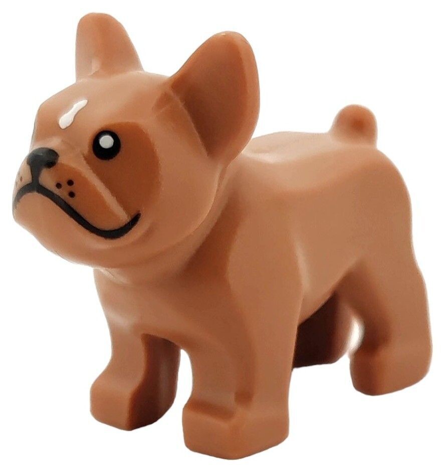 French Bulldog in Braun/Medium Nougat