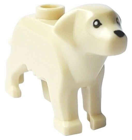 Labrador in Beige