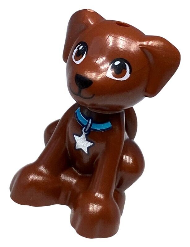 Dash/Scout aus Friends