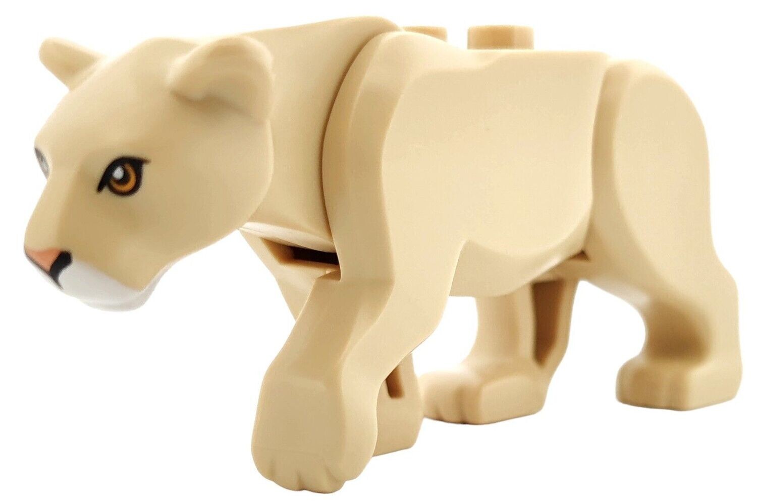 Löwin in Beige/Tan