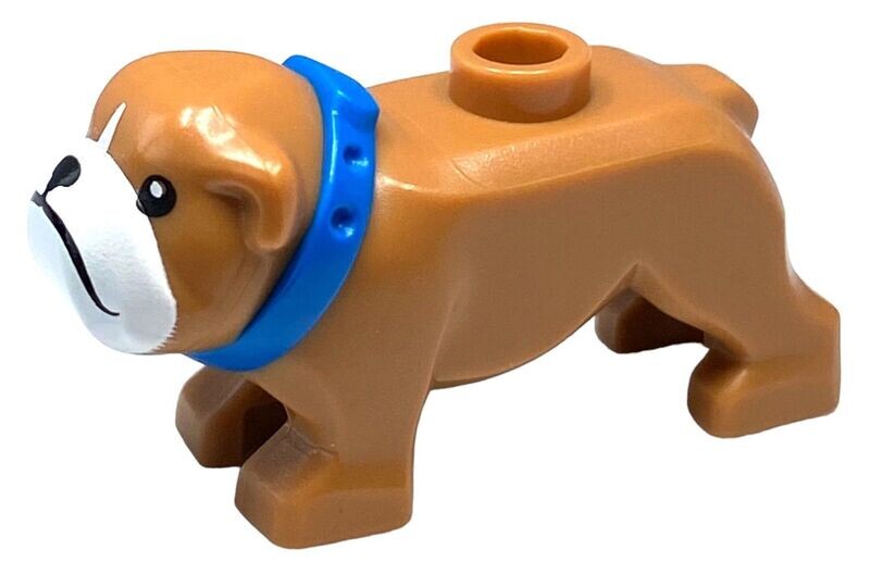 Bulldogge in Braun