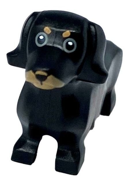 Dackel in Schwarz