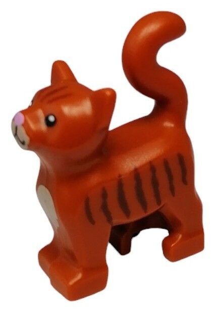 Katze in Orange