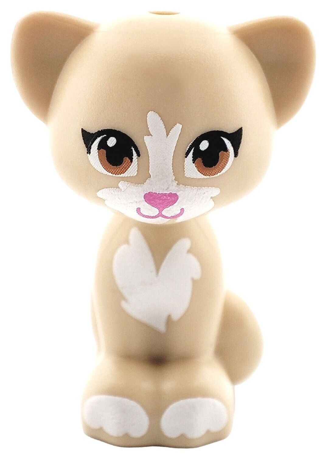 Katze in Beige