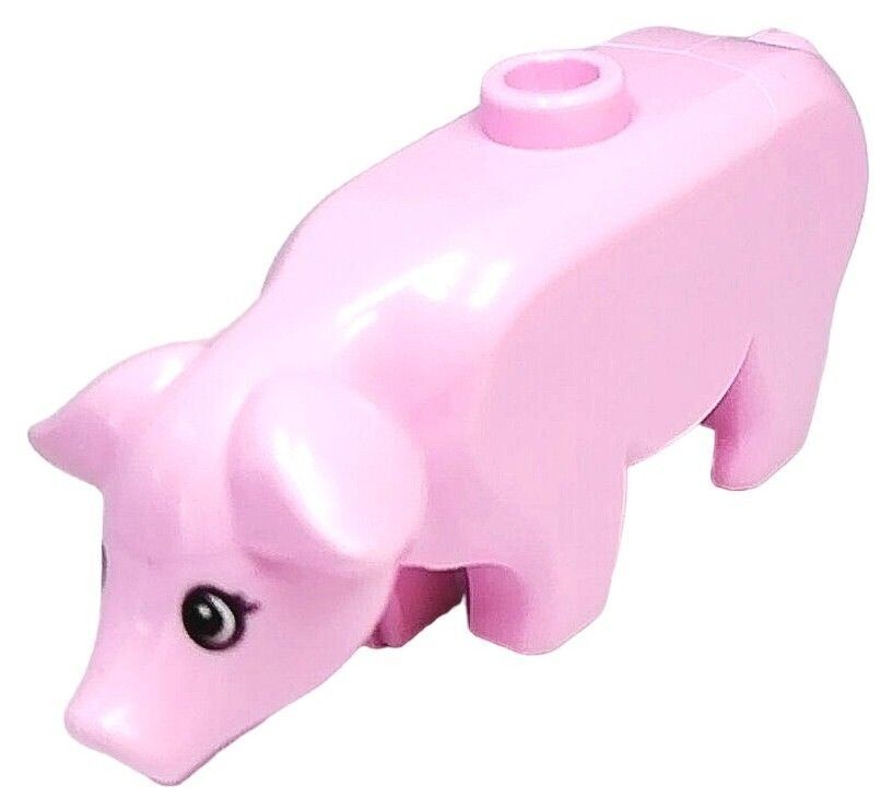 Schwein Hamletta