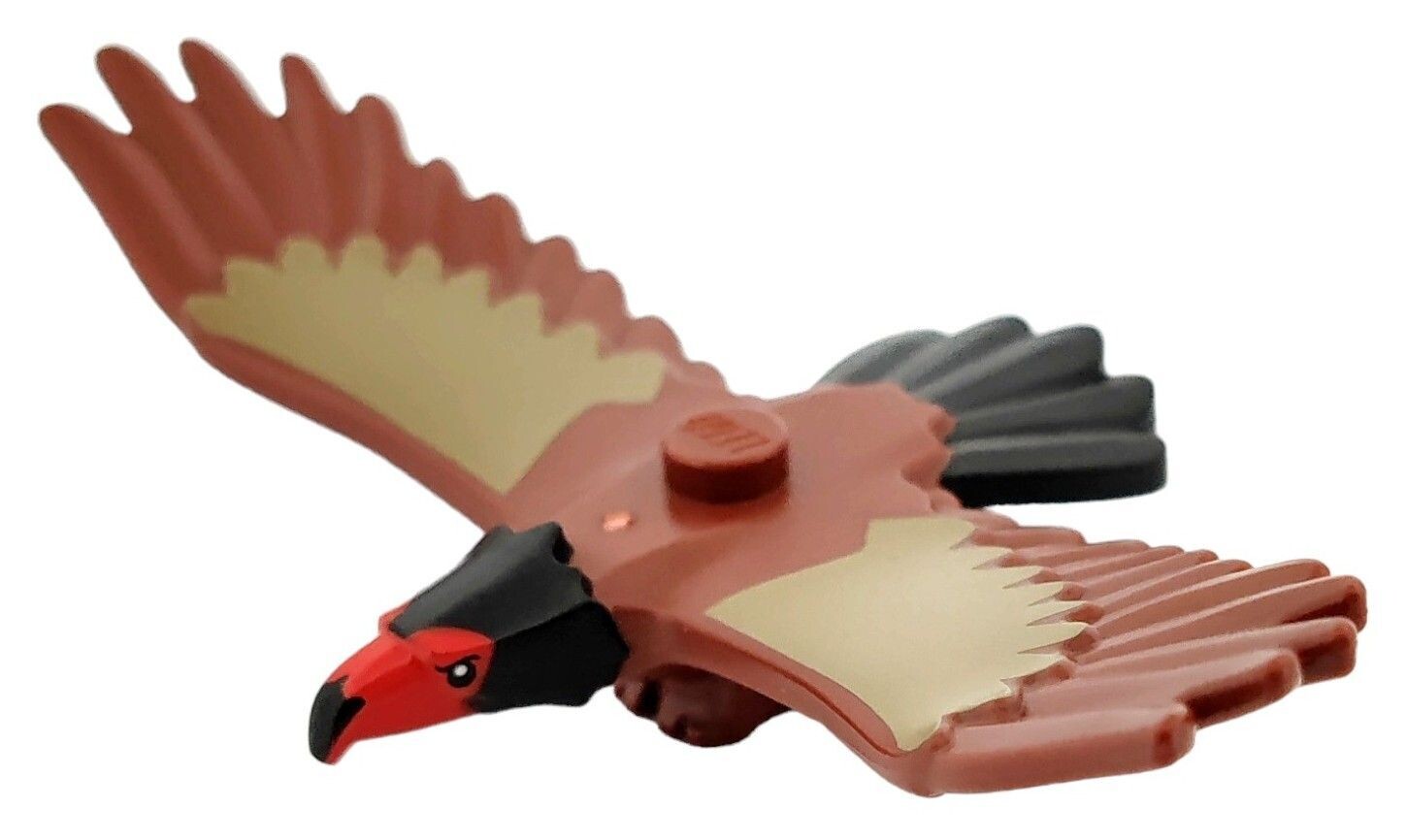 Adler in Rotbraun/Reddish Brown