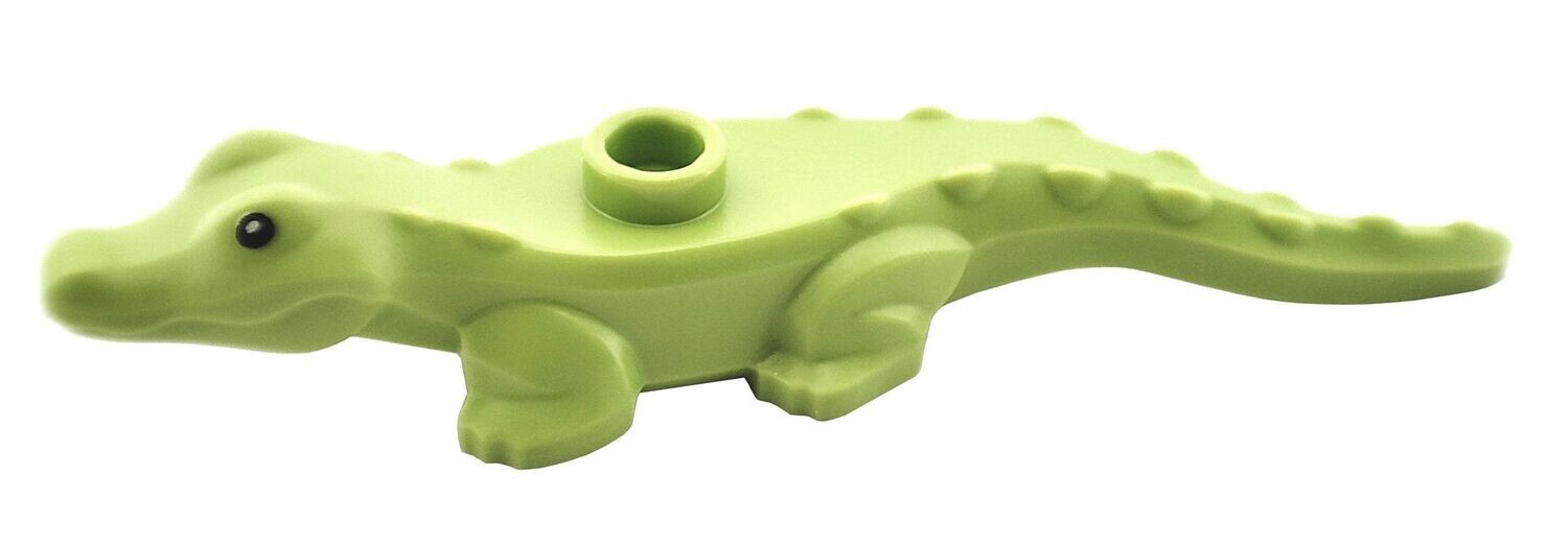 Krokodil Baby in Hellgrün/Lime