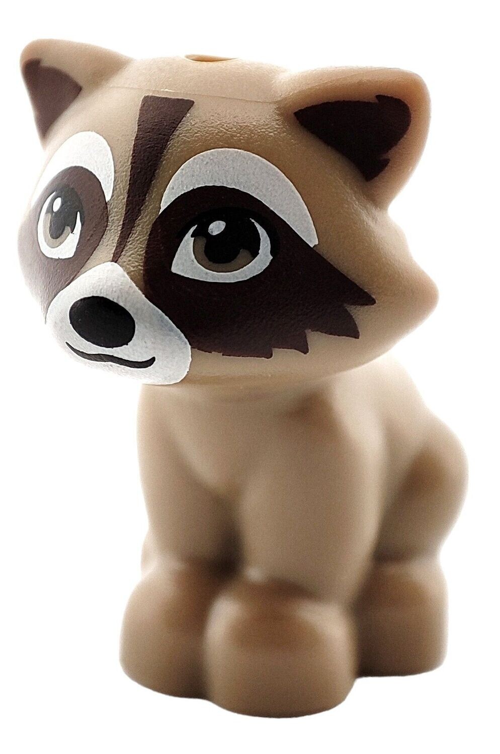 Waschbär in Dunkelbeige