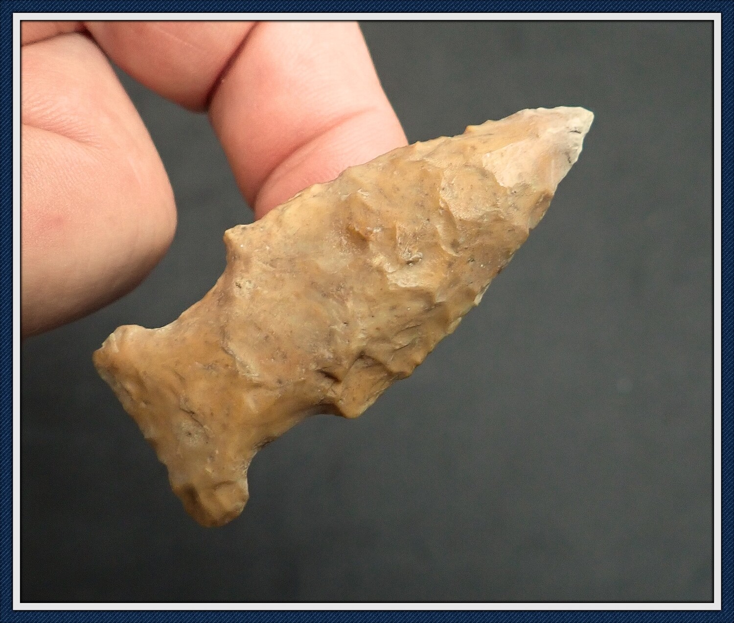 Golden Bolen Expanded Notch