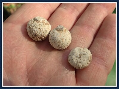Lot of 3 Pristine Mid-1700's English Musket Balls from Indian Sites