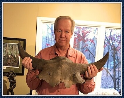 Bison Skull Cap 26&quot; Wide Complete Horns