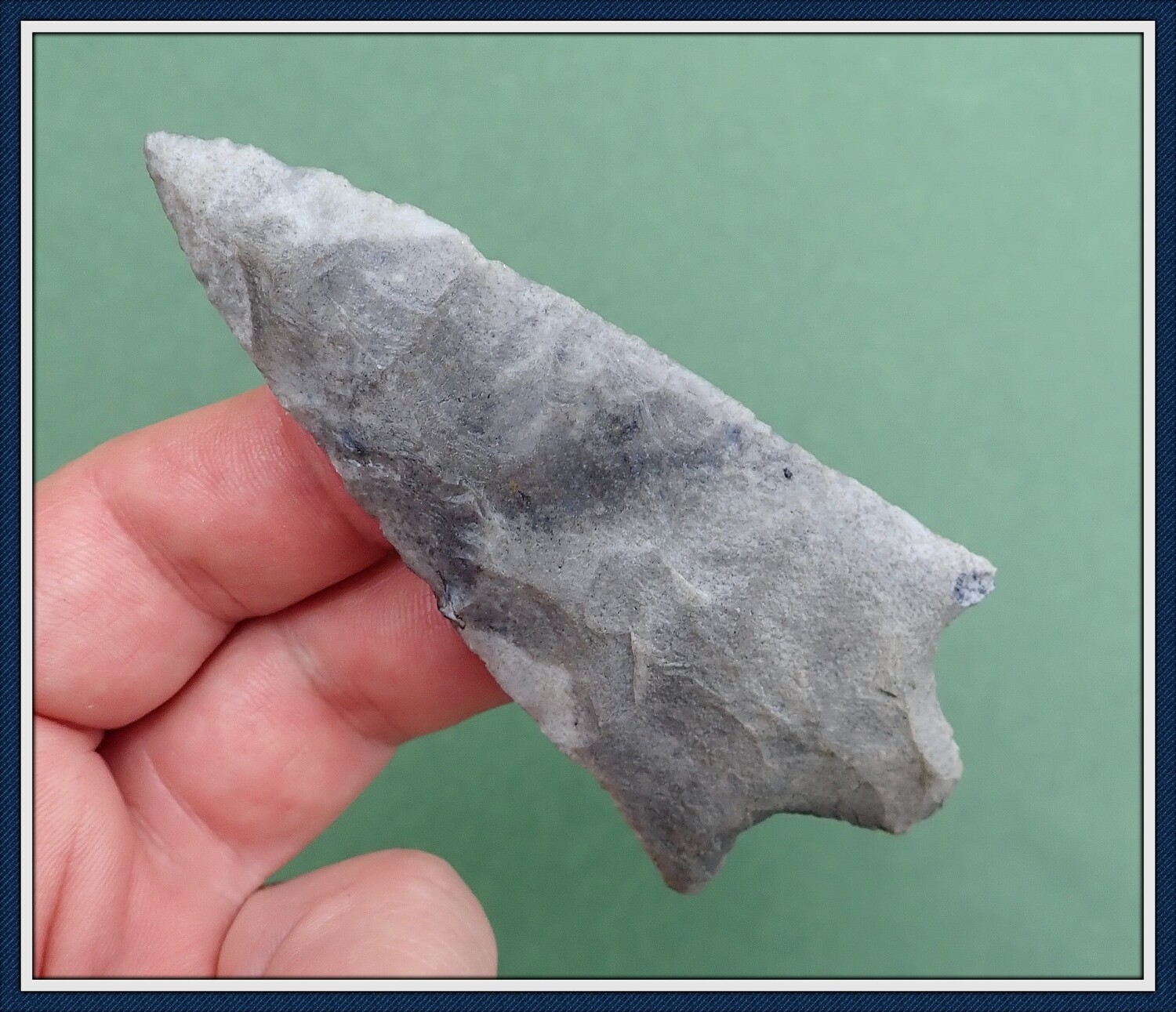 Big High Grade Cypress Creek Spear