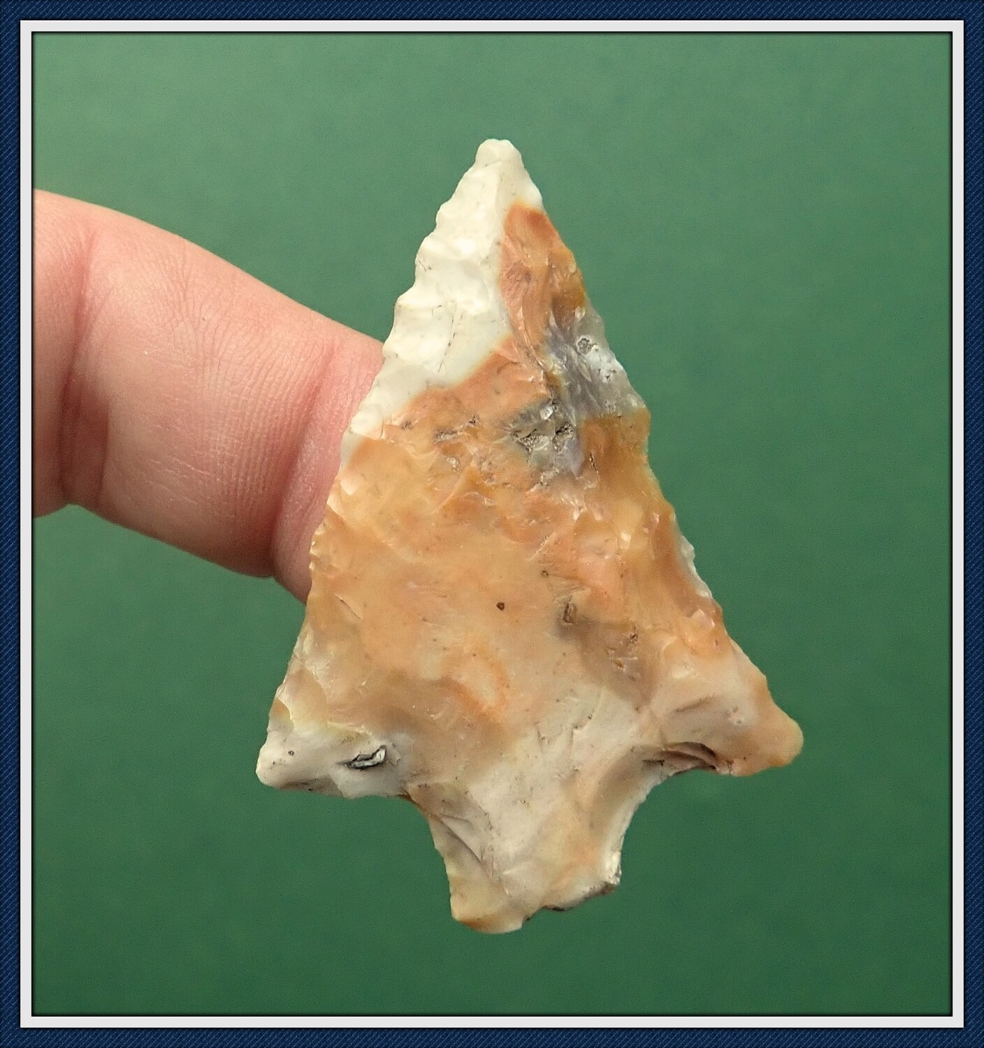 Colorful Orange &amp; White Hardee
