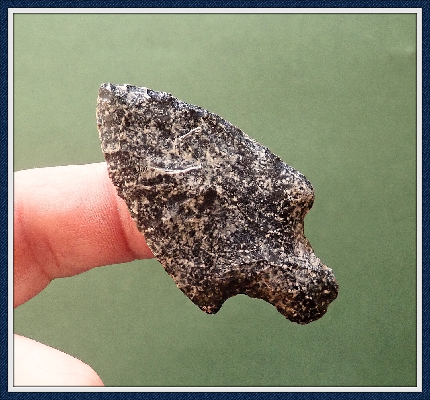 Black &amp; White Speckled Lochloosa Newnan
