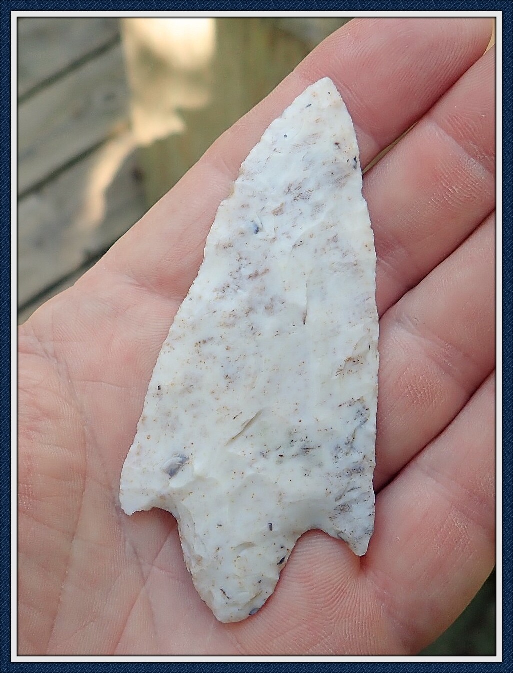 White Translucent Banded Coral ~ Cypress Creek Cache Point Number 1