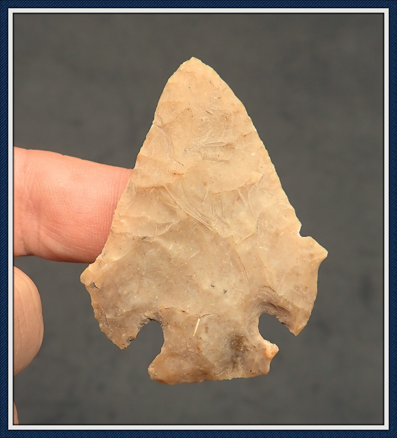 Translucent Chalcedony ~ Delta Wing Clay / PRICE REDUCED