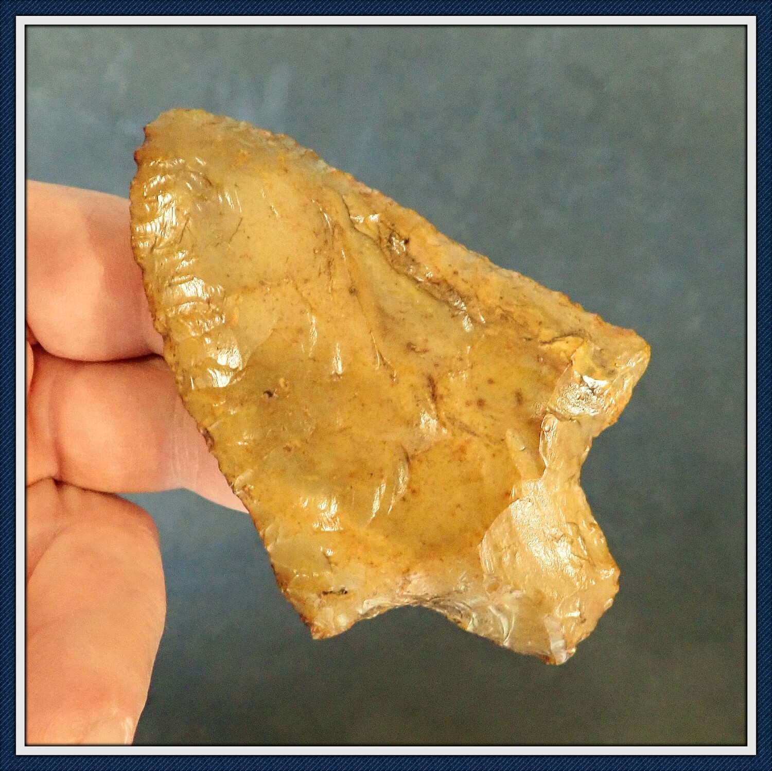 Big Translucent Glossy ~ Golden Georgia Pickwick