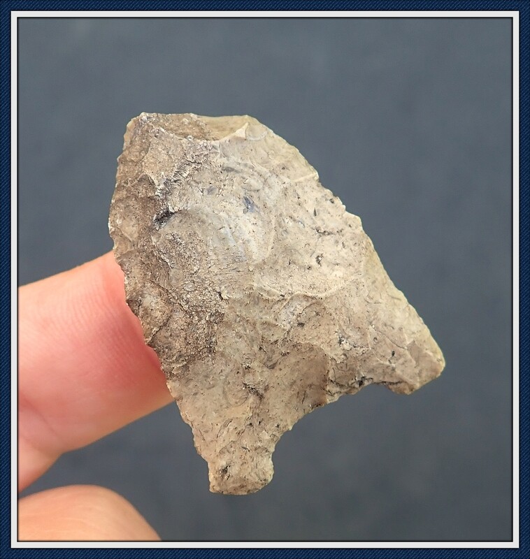 Exhausted Paleo ~ Suwannee Point
