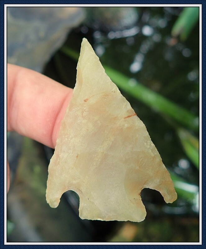 Golden Translucent Coral Culbreath