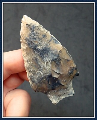 Classic ~ Hamilton Point