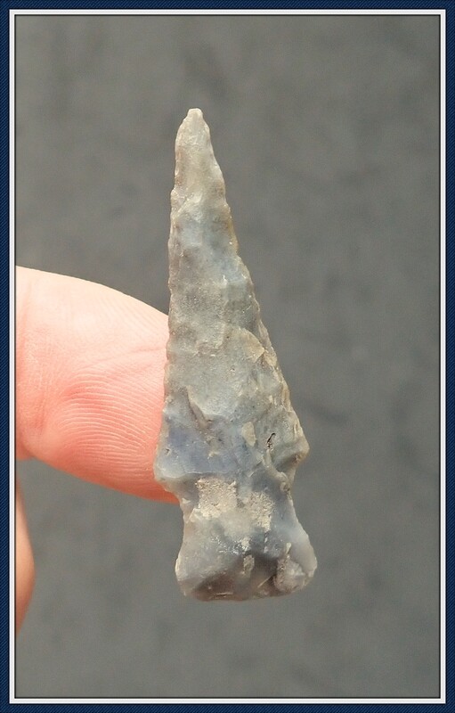 Florida ~ Woodland ~ Duval Spike 3