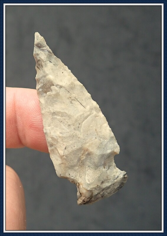 Florida ~ Woodland ~ Keen Tipped Duval